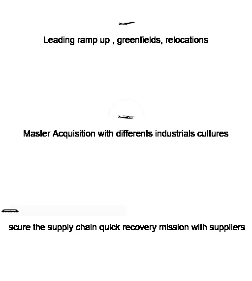 CONSULTING EXPERT PROJECT EXCELLENCE